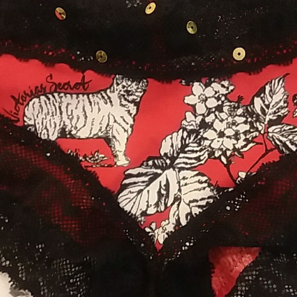 Get Cheeky! VS thing and panties Small - Picture 4 of 5